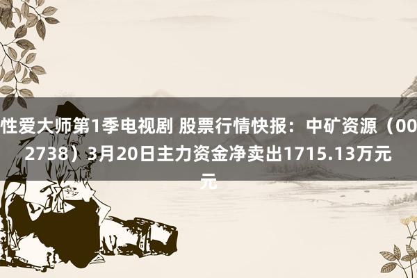 性爱大师第1季电视剧 股票行情快报：中矿资源（002738）3月20日主力资金净卖出1715.13万元