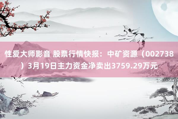 性爱大师影音 股票行情快报：中矿资源（002738）3月19日主力资金净卖出3759.29万元