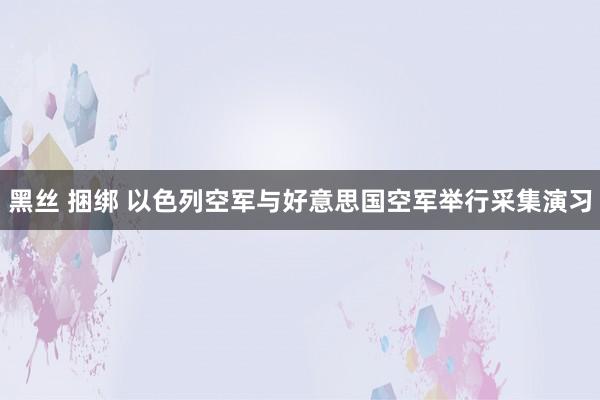 黑丝 捆绑 以色列空军与好意思国空军举行采集演习