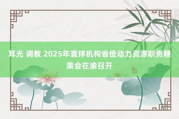 耳光 调教 2025年寰球机构省俭动力资源职责鞭策会在渝召开