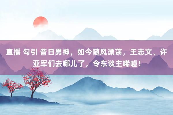 直播 勾引 昔日男神，如今随风漂荡，王志文、许亚军们去哪儿了，令东谈主唏嘘！