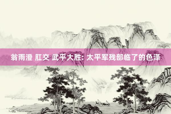 翁雨澄 肛交 武平大胜: 太平军残部临了的色泽