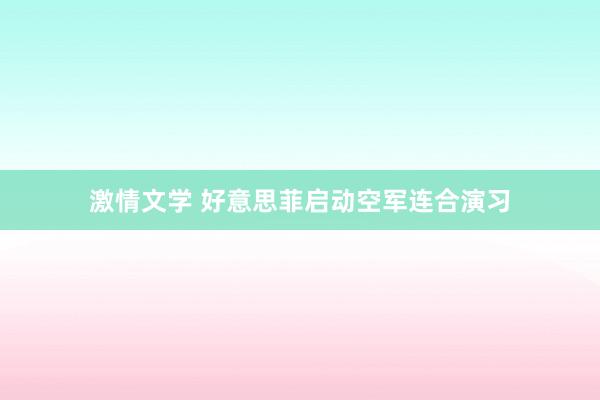 激情文学 好意思菲启动空军连合演习