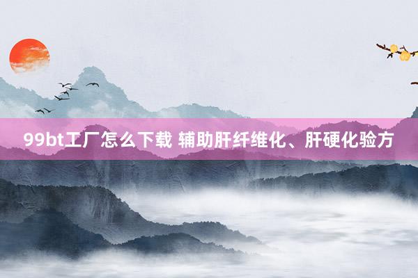 99bt工厂怎么下载 辅助肝纤维化、肝硬化验方