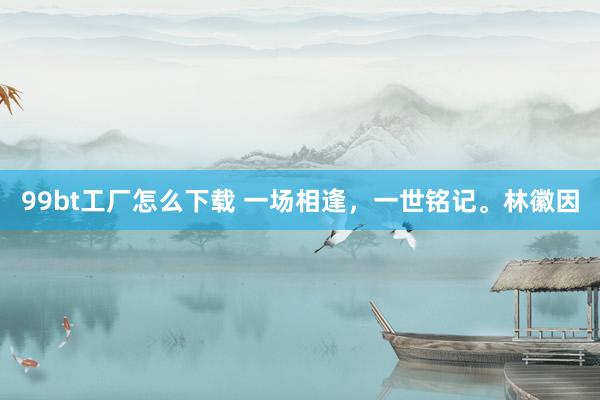 99bt工厂怎么下载 一场相逢，一世铭记。林徽因